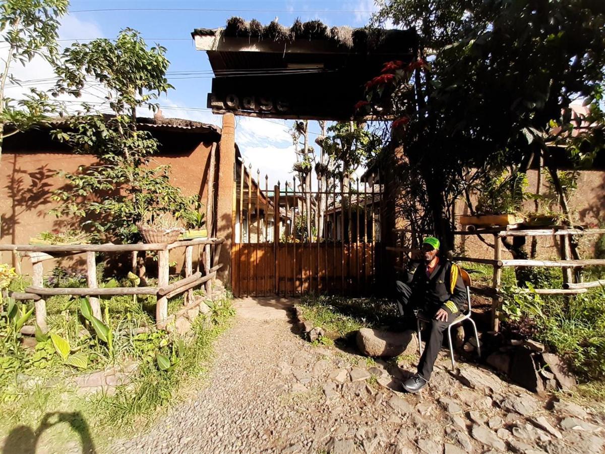 Lodge Du Chateau Gonder Exterior photo